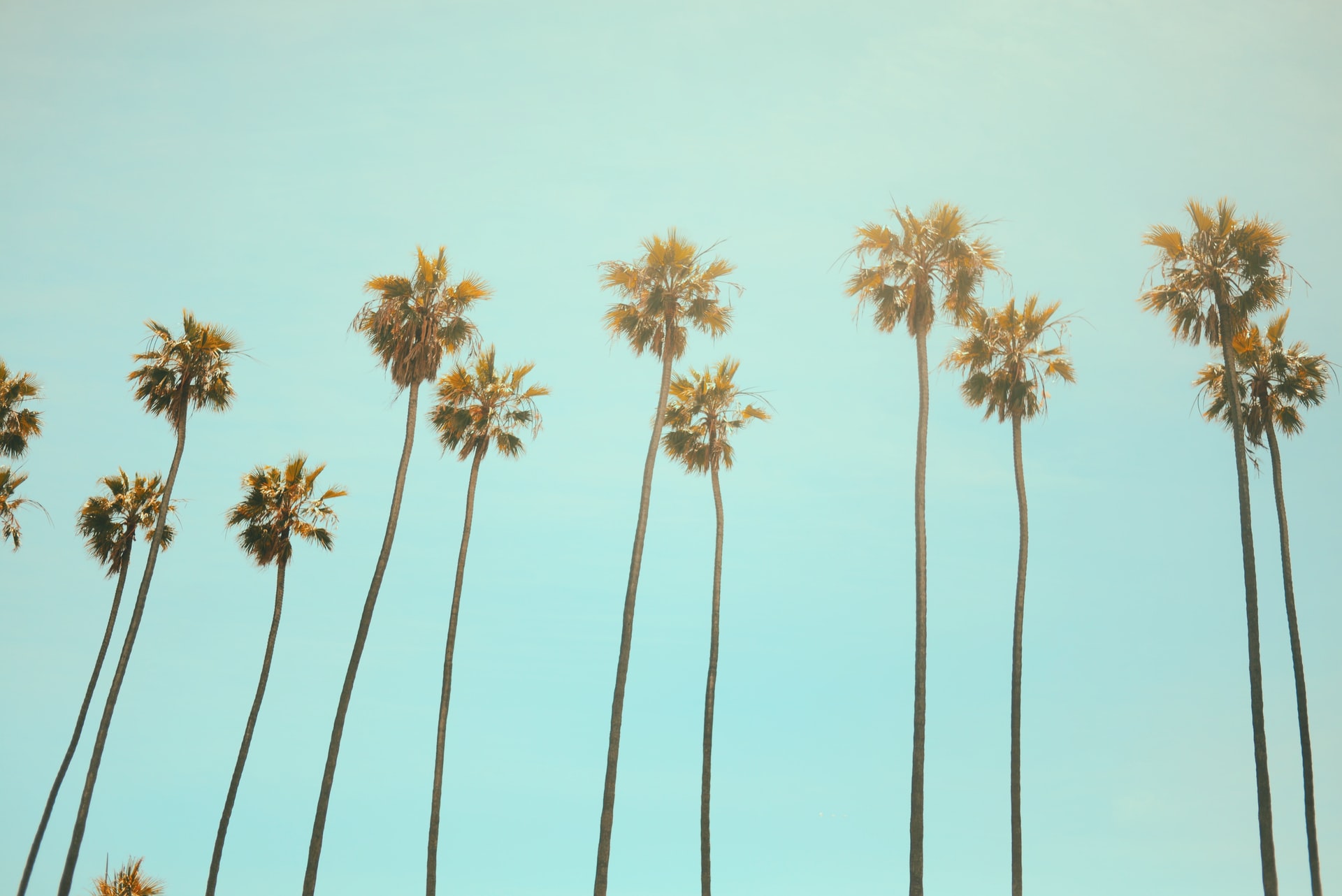 Moving to California? Here’s What You Need To Know