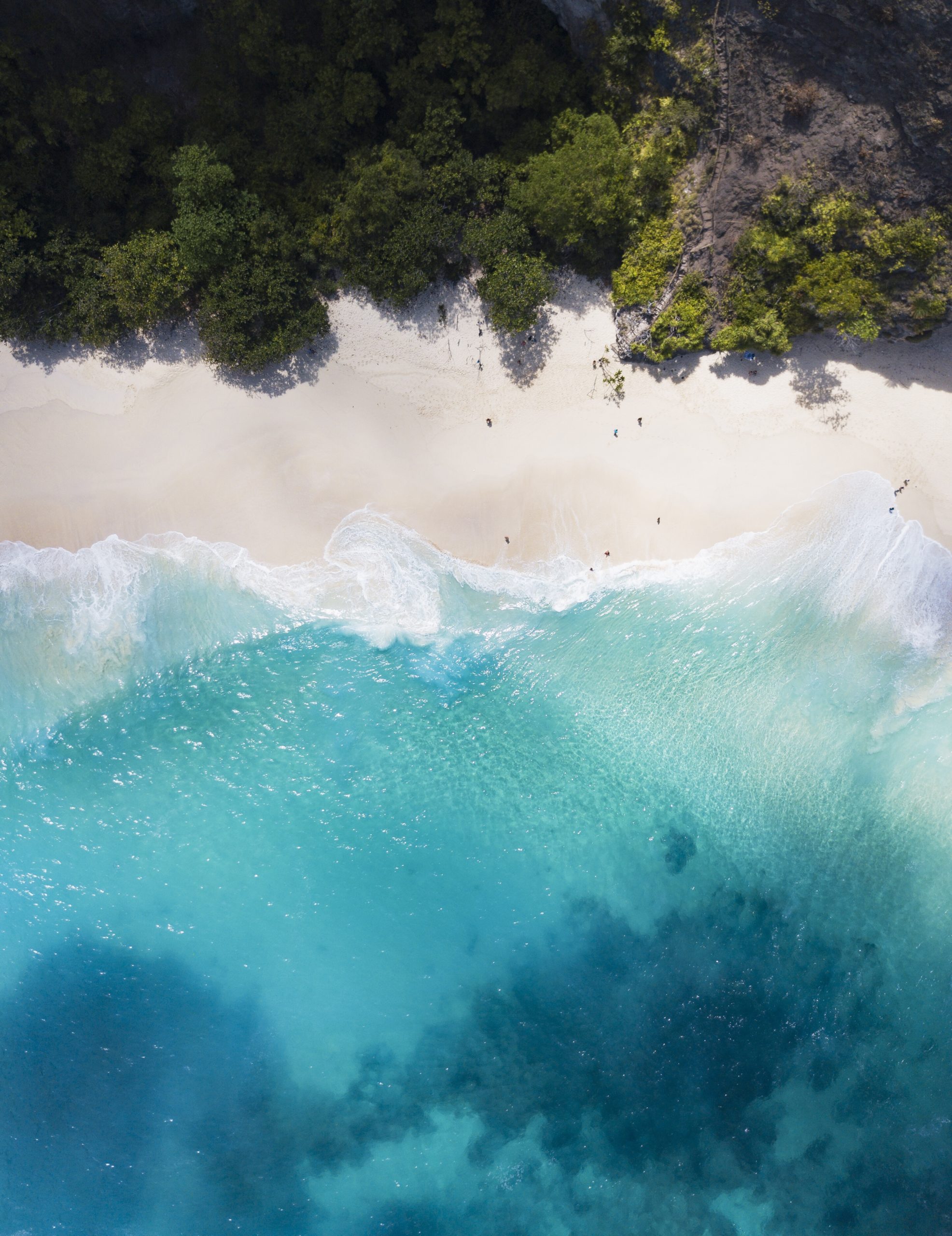 4 Reasons to Visit Sarasota